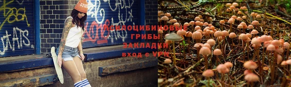 дурь Абдулино
