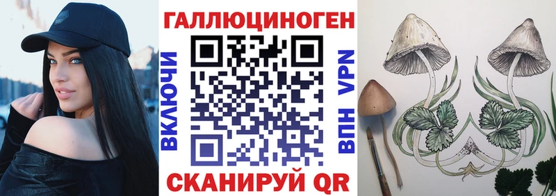 даркнет как зайти  сколько стоит  Гагарин  Псилоцибиновые грибы Psilocybe 
